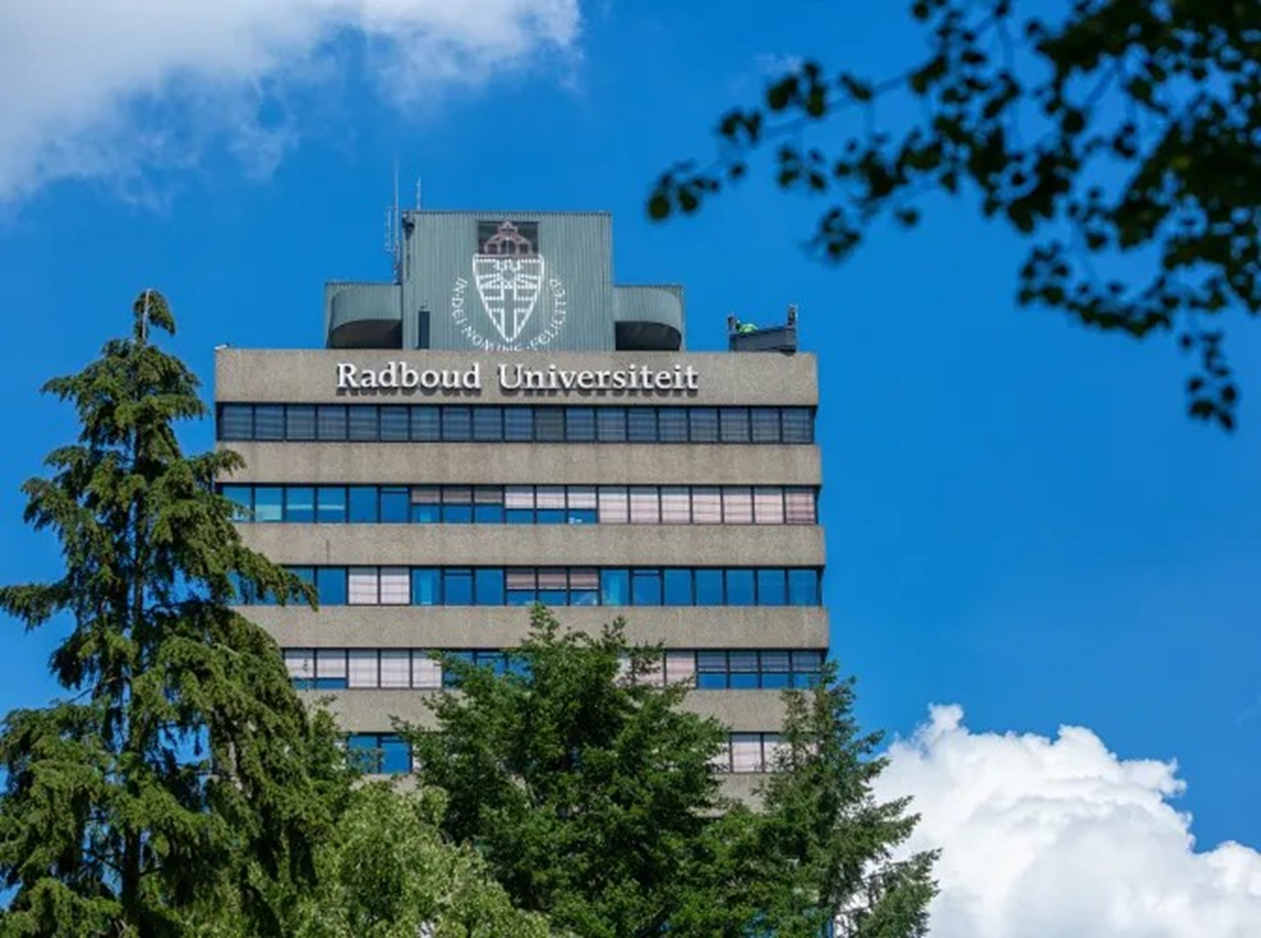 Pro-Palestijnse Radboud-docent Pettit stapt op
