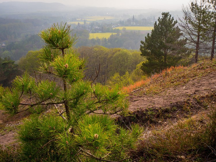 The  Eifel is 'moving': consequences for the Einstein Telescope?