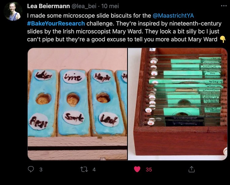 Microscope slide biscuits