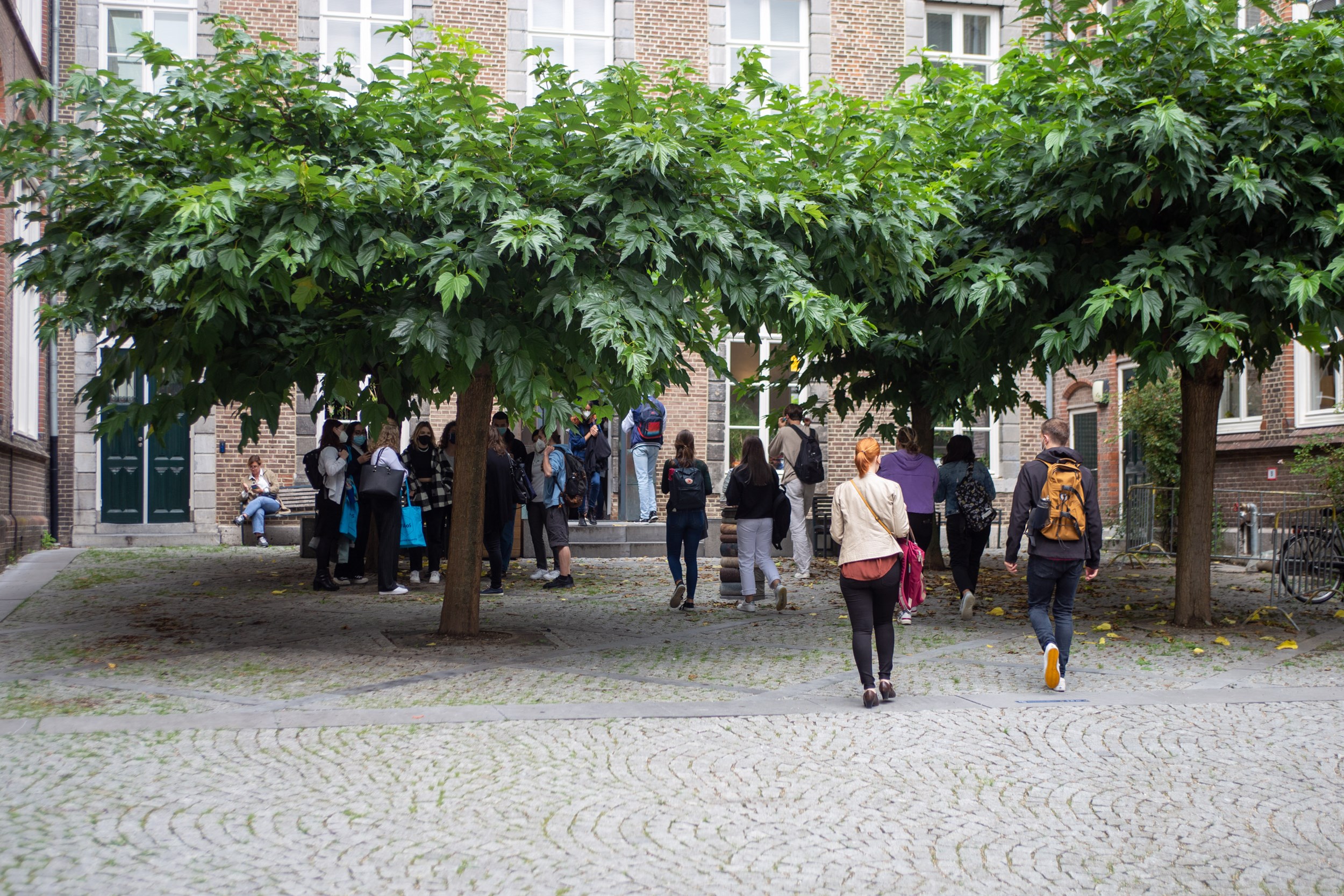 Fasos board and academic staff clash over declining enrollment figures