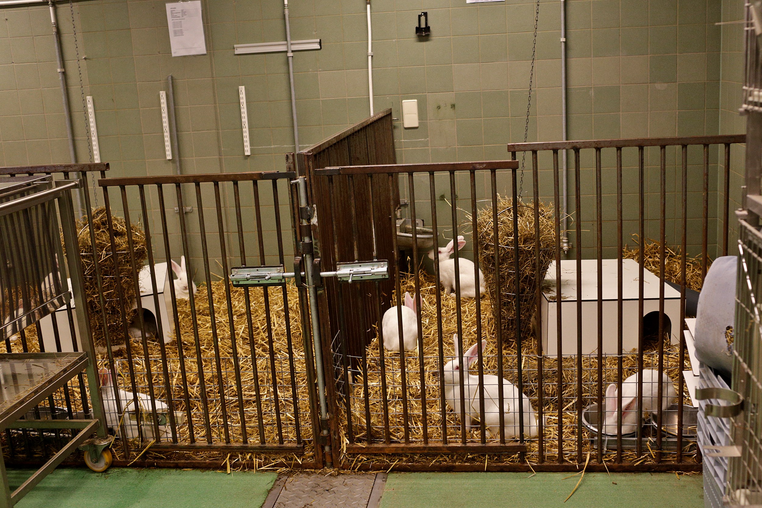 “FHML must give animal laboratory users a perspective”
