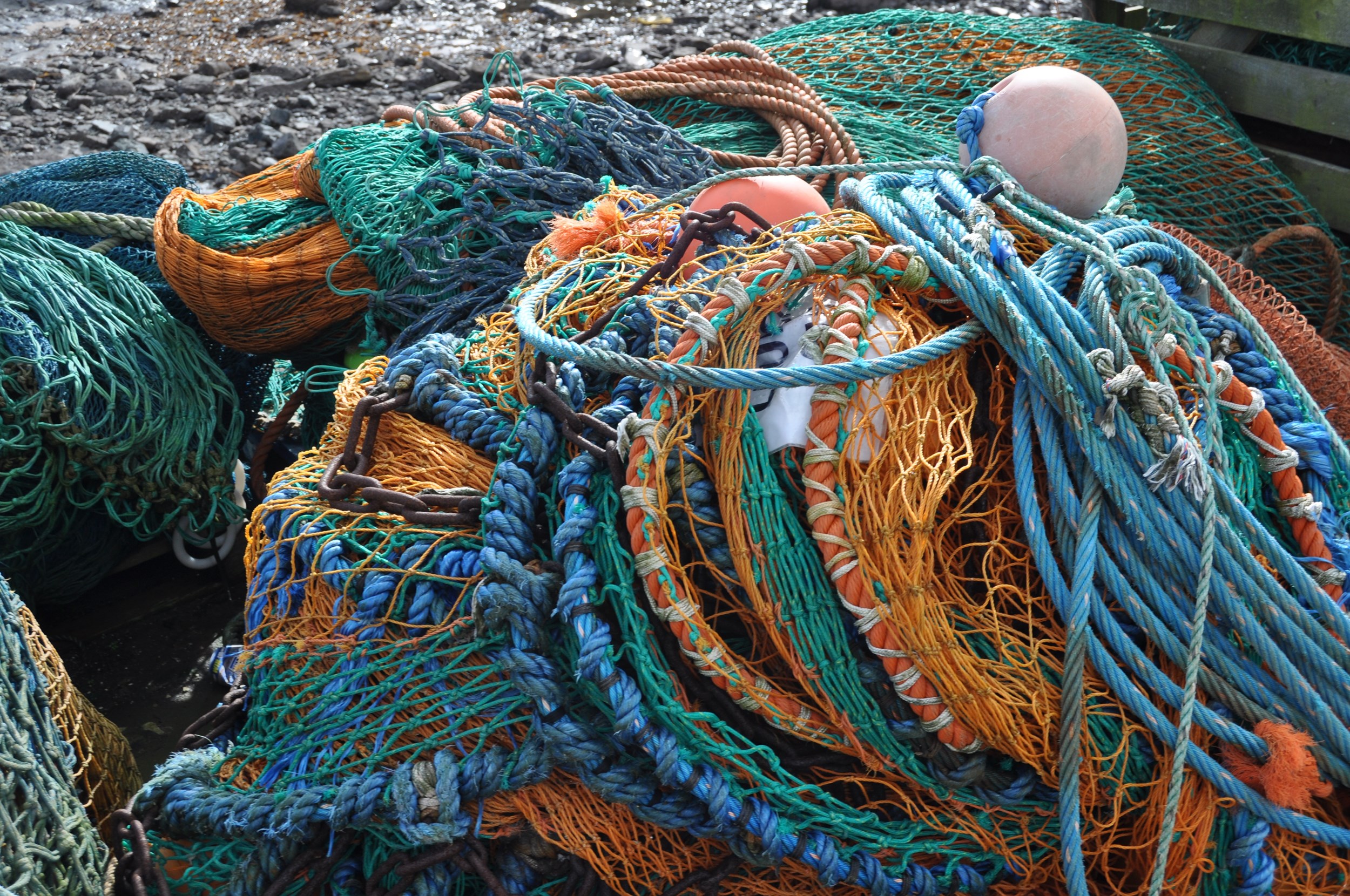 Venlo students publish scientific article on fishing