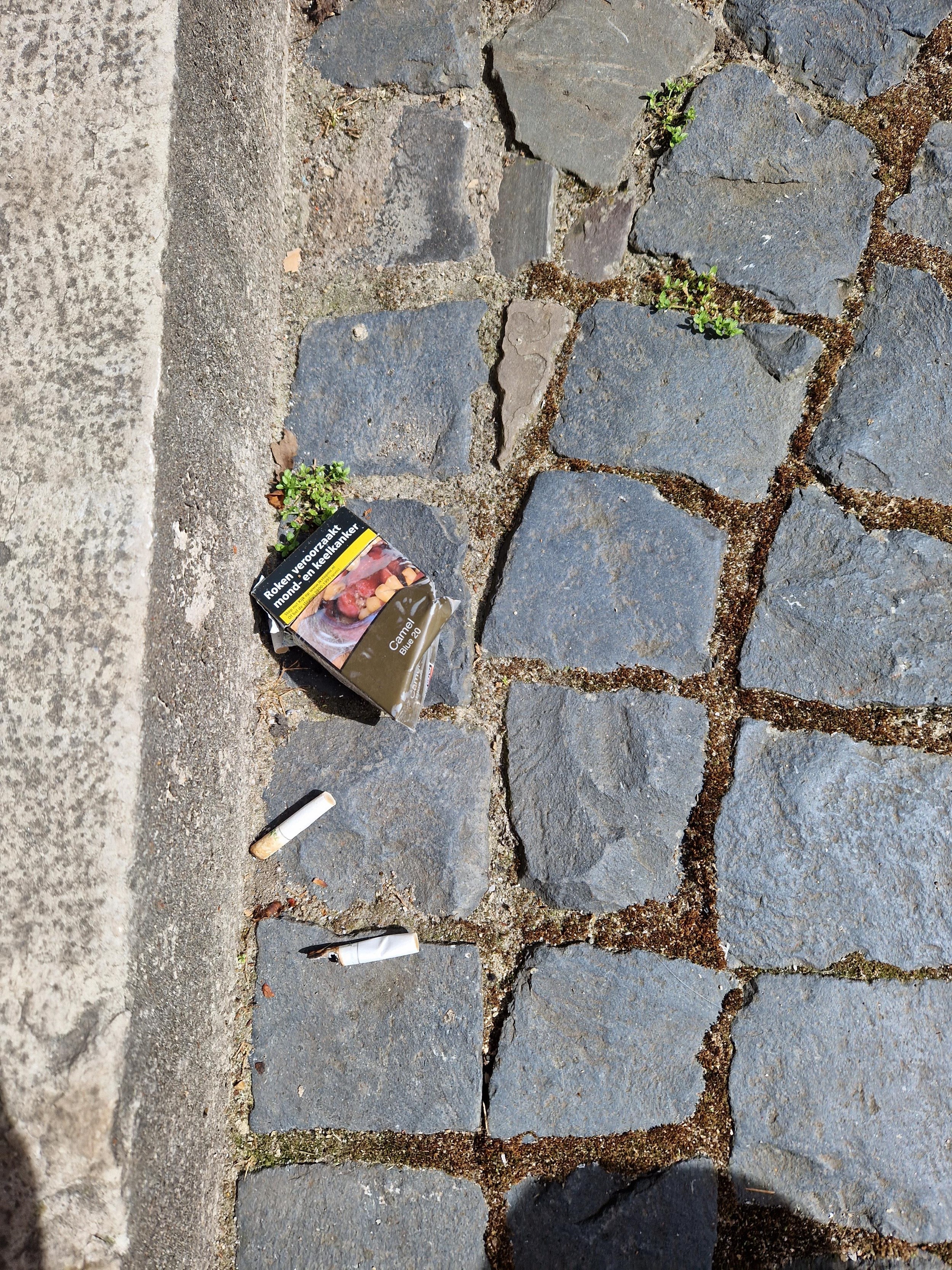 Cigarette butts problem
