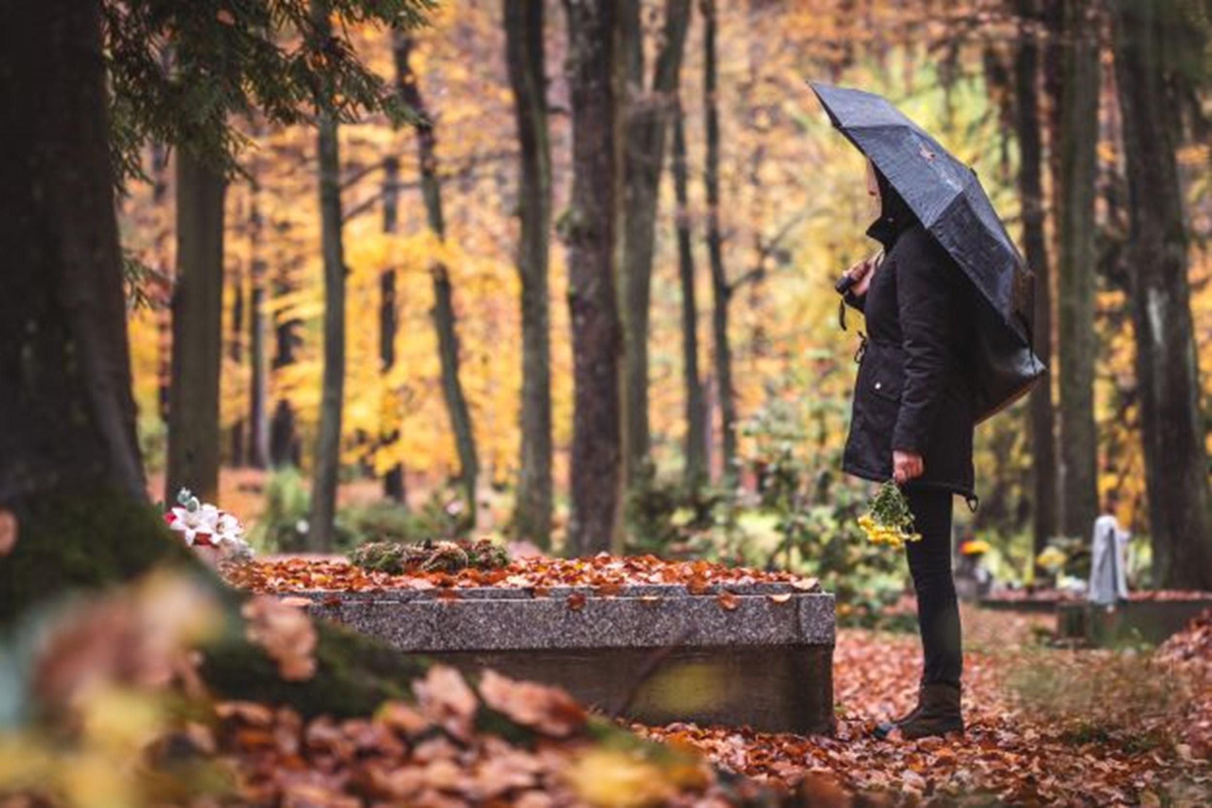 A hazardous discovery in the forest