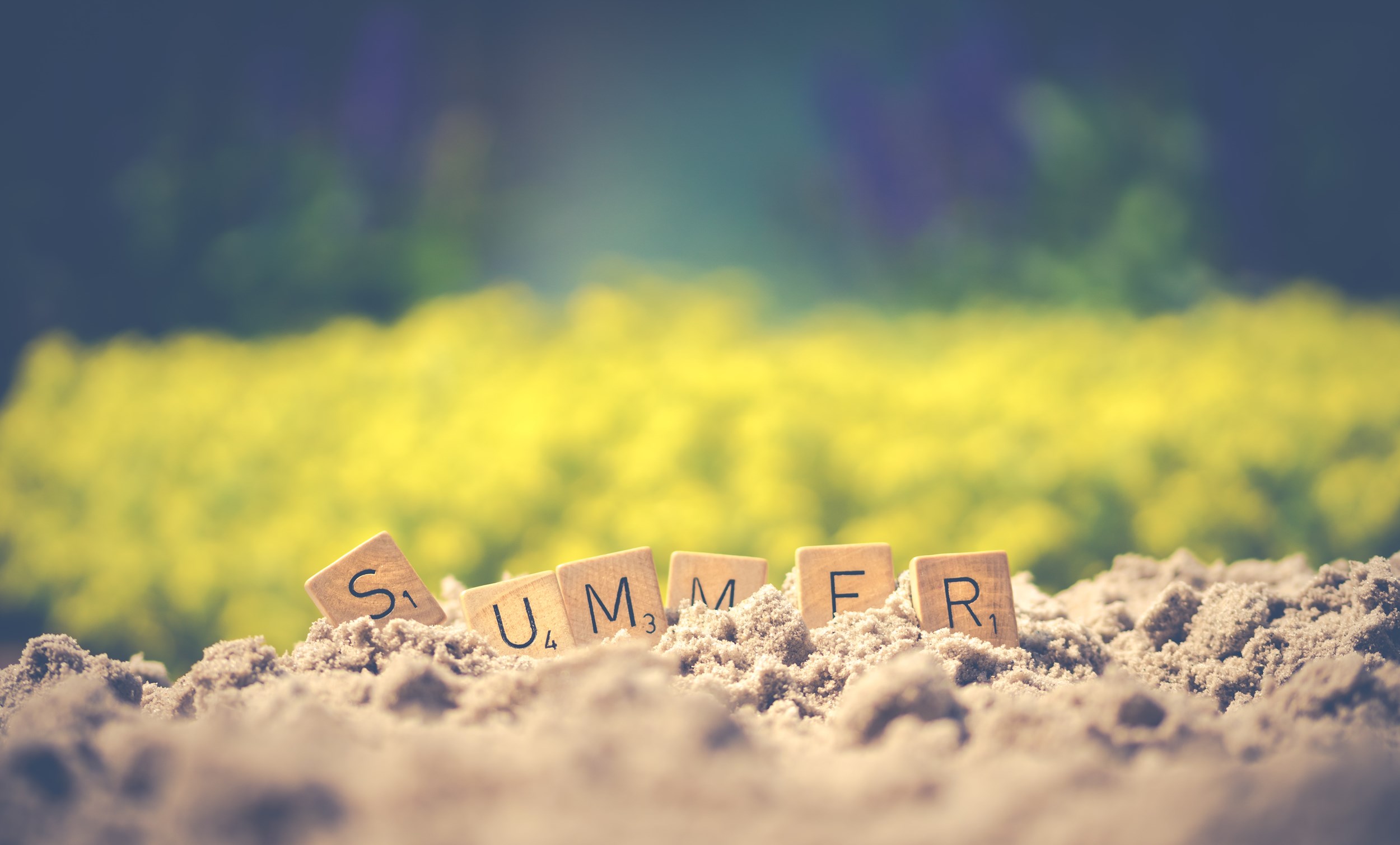 New impulse for Summer School