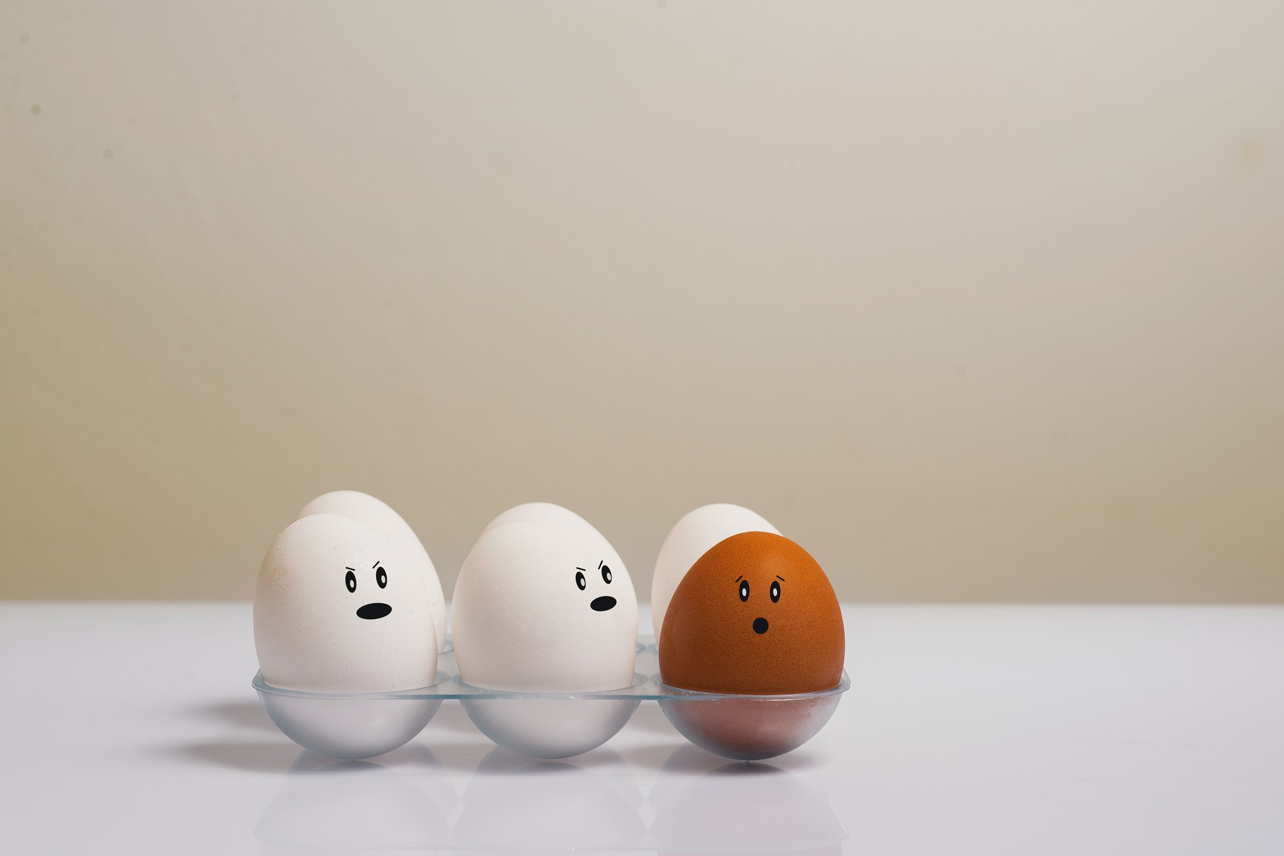 “Bringing over people who are diverse is only the first step”
