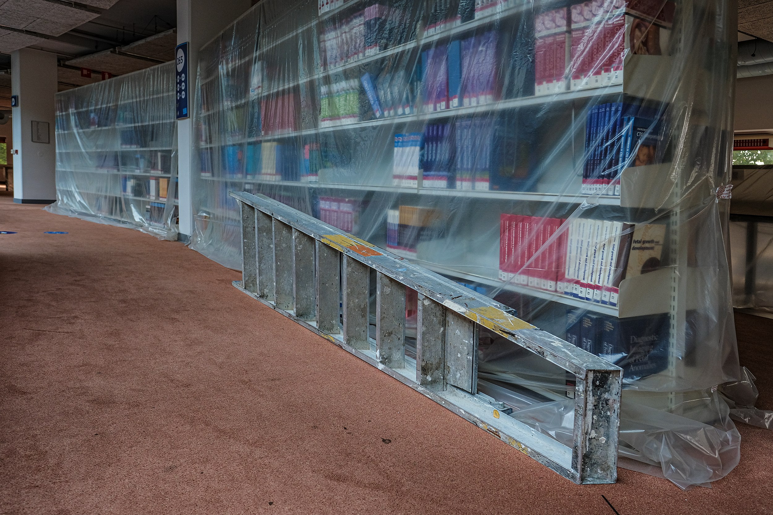 Finding peace in a green library