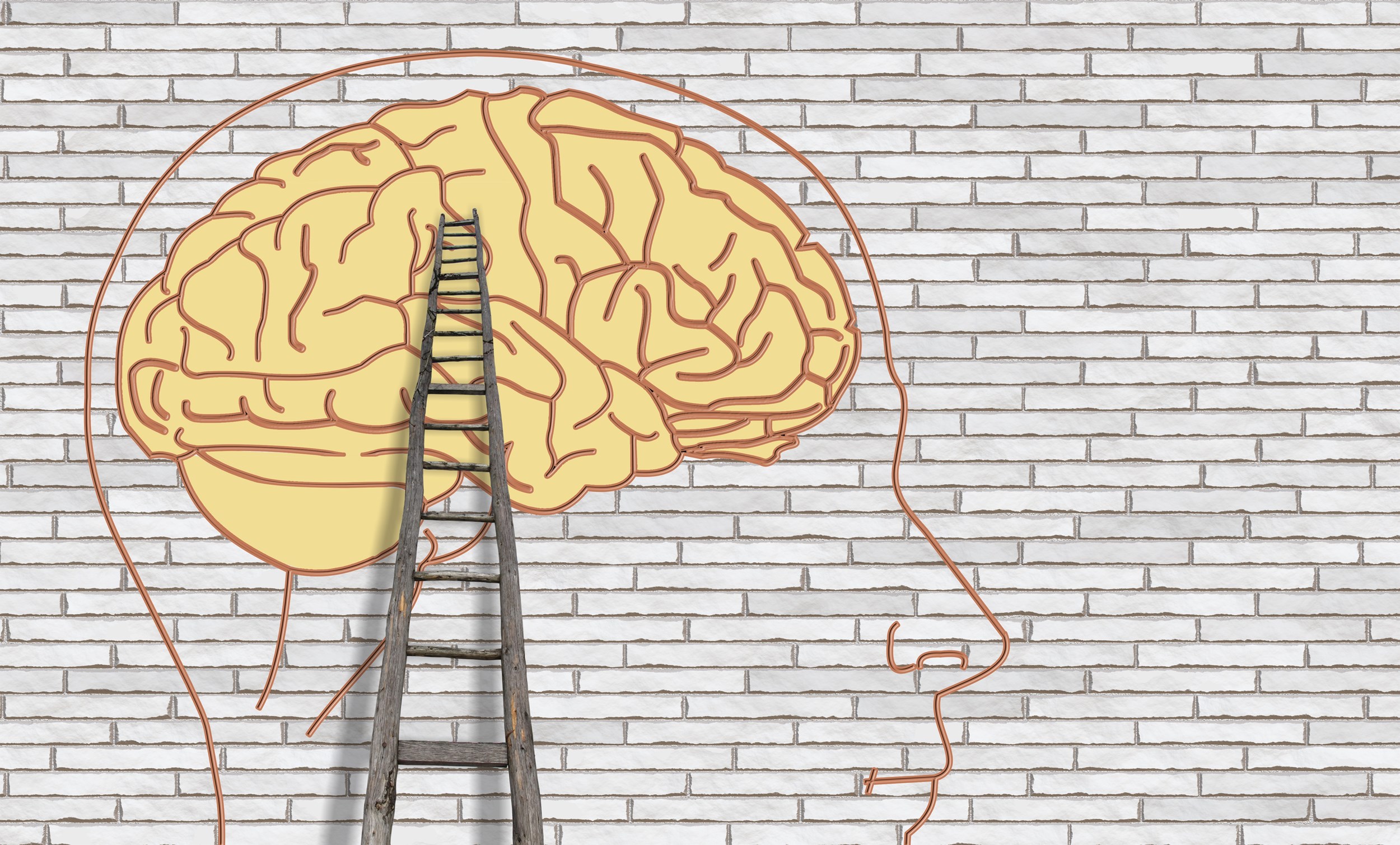 FPN to limit number of places for the master’s of Mental Health