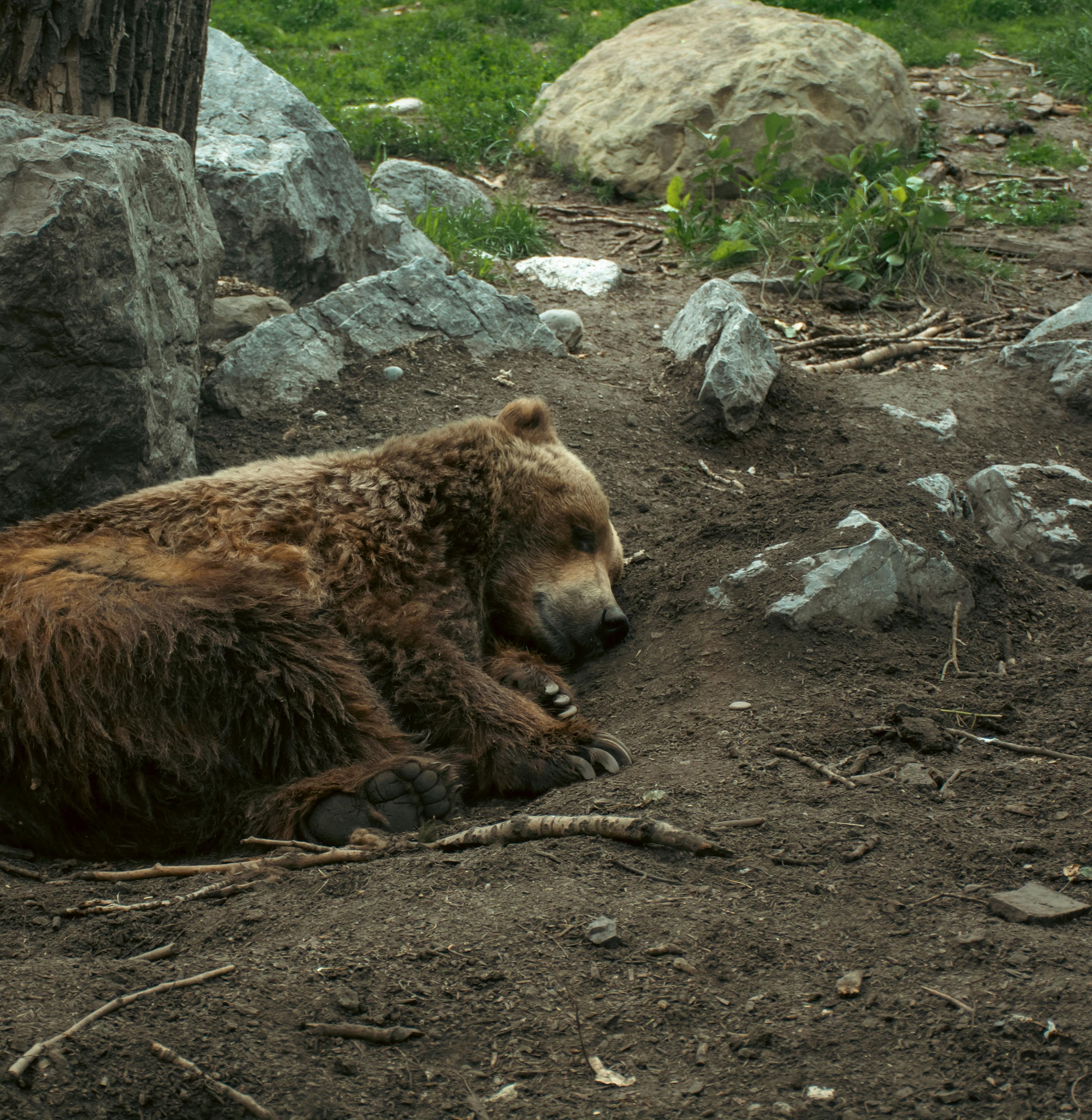 “Biodiversity loss poses enormous risks to our health”