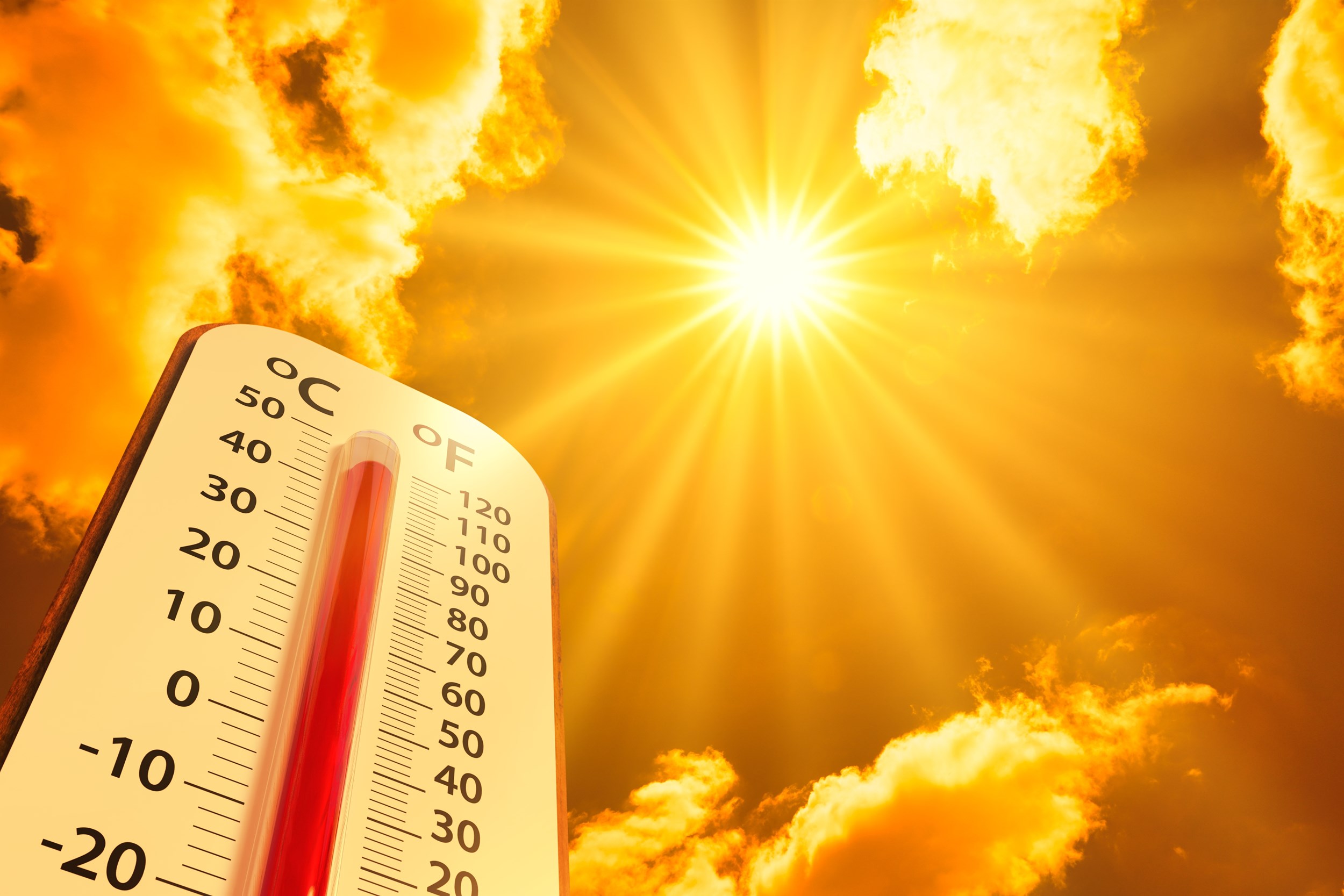 Heat stress, poor air quality and water pollution
